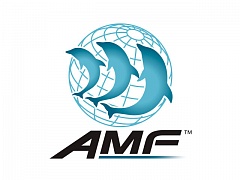 Платформа управления Allied Telesis Management Framework