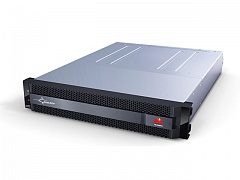 Huawei OceanStor Dorado2100 G2 STTZ16STTS